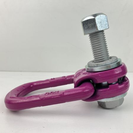  RUD M20 3.5t アイボルト スタンダートボルト ロードリング・プラス 本体のみ VLBG ショッキングピンク