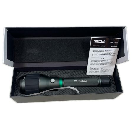  イチネン 工具関連用品 ライト MFL-12002R