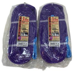 工具関連用品 スリングベルト 5ｍ 2個 Sランク