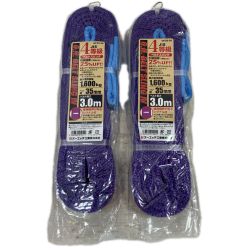 工具関連用品 スリングベルト 3ｍ 2個 Sランク