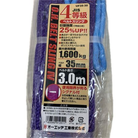 工具関連用品 スリングベルト 3ｍ 2個