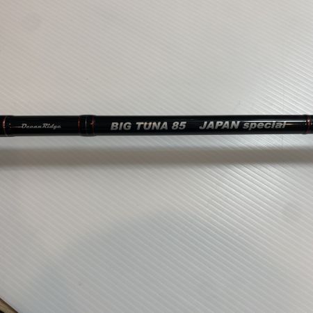  Ripple Fisher ルアーロッド  ビッグツナ85 ジャパンスペシャル