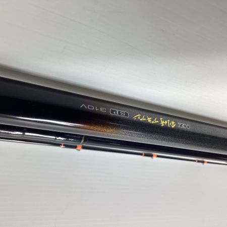 DAIWA ダイワ HZ 剣崎アキアジSP310V 05282024