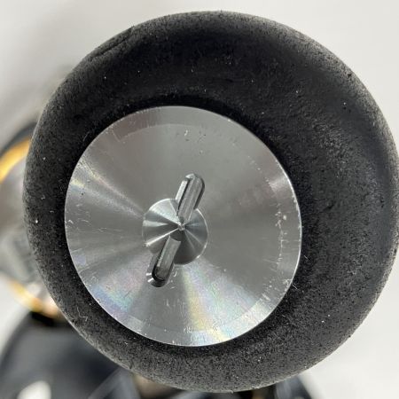 DAIWA ダイワ スピニングリール 23エアリティLT5000D-CXH 00061137