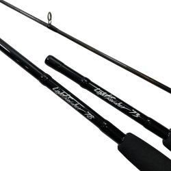 ττ TRUTH JAPAN  ルアーロッド  LightSwicher  73/78 Bランク