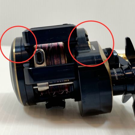  DAIWA ダイワ リール ベイトリール　21ソルティガIC 300L-DH  00631547 (299964)