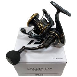 ττ DAIWA ダイワ スピニングリール CALDIA SW 8000-H 3165764 Bランク