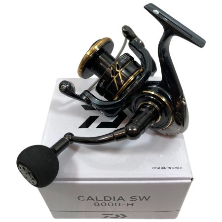 DAIWA ダイワ スピニングリール CALDIA SW 8000-H 3165764