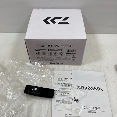  DAIWA ダイワ スピニングリール CALDIA SW 8000-H 3165764
