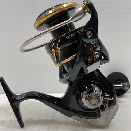  DAIWA ダイワ スピニングリール CALDIA SW 8000-H 3165764