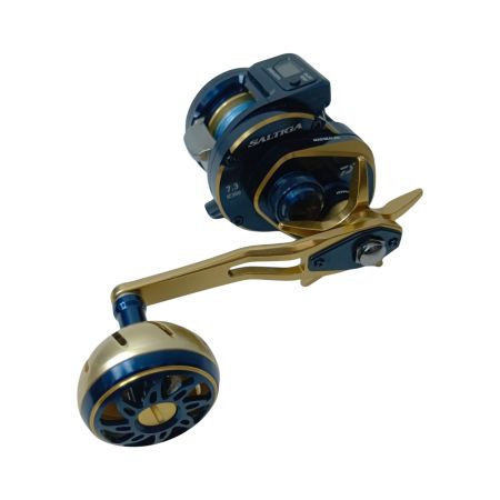 DAIWA ダイワ ベイトリール 21ソルティガIC300 3034725