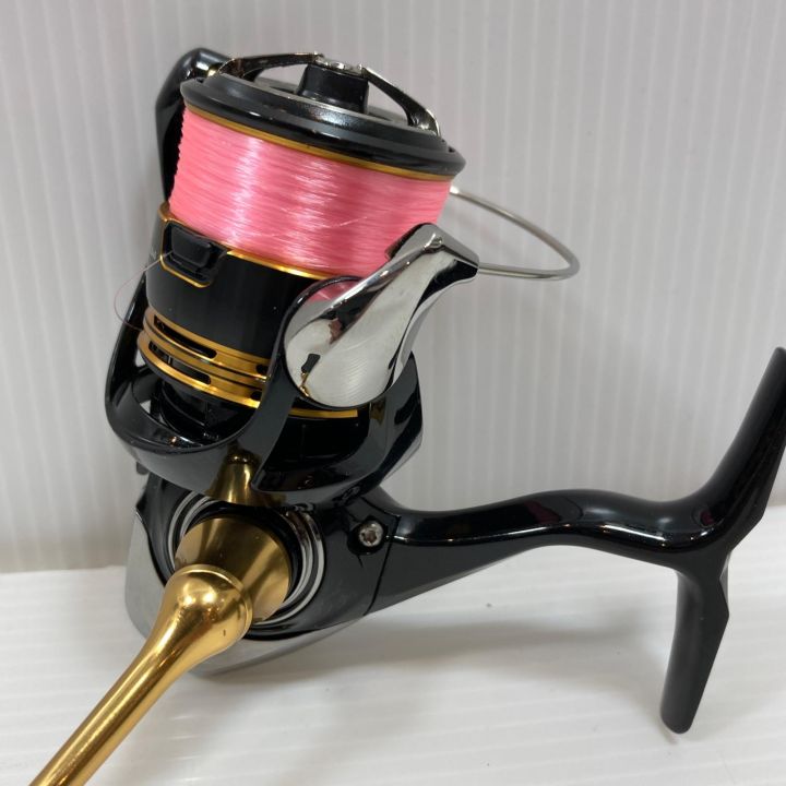 ダイワ レガリス LT2000S-XH ダブルハンドルとリールスタンド付き