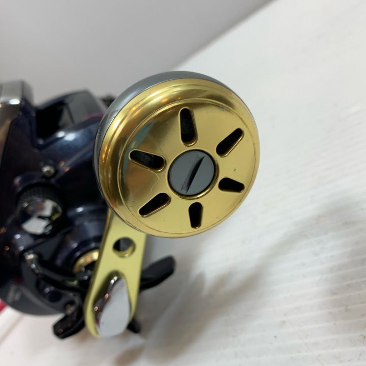 DAIWA LEOBRITZ 500J フィッシングリール 【公式通販】