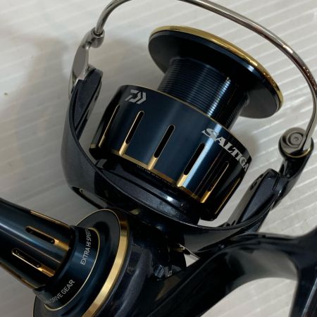  DAIWA ダイワ スピニングリール  美品  箱付 23ソルティガ 4000-XH 224034