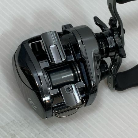  DAIWA ダイワ ベイトリール  STEEZ LIMITED SV TW1000S-XHL 箱付