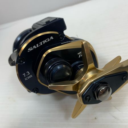  DAIWA ダイワ ベイトリール  キズ有  箱付 21ソルティガIC 300H-SJ 034725