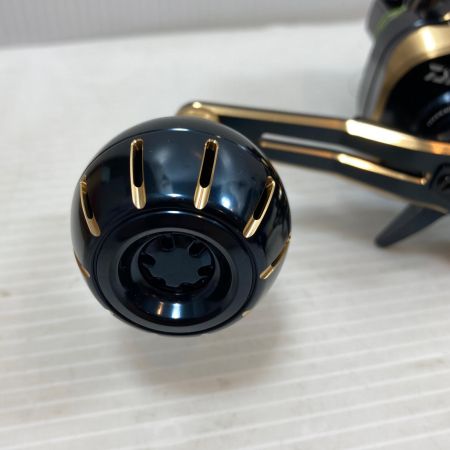  DAIWA ダイワ ベイトリール  21ソルティガIC 300L-DH  299964