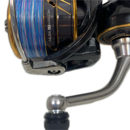  DAIWA ダイワ スピニングリール  21カルディア LT4000-CXH  063220