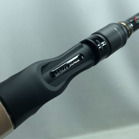  Abu Garcia アブガルシア ルアーロッド ベイト ロックフィッシュ ソルティーステージ SXRC-702EXH-BS-KR Boat Special 2ピース