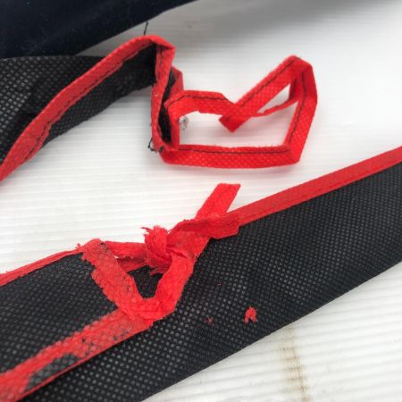  DAIWA ダイワ 渓流竿 エキスパート テンカラ LT39