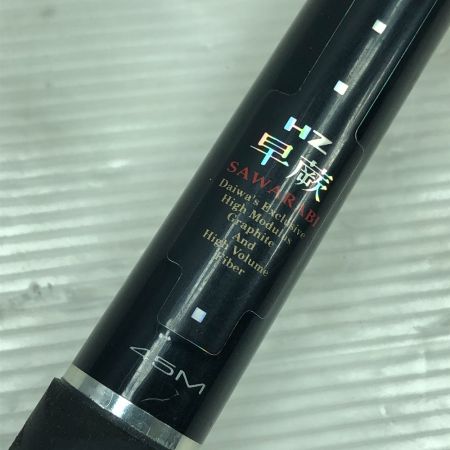  DAIWA ダイワ 渓流竿 HZ SAWARABI 早蕨 45M 06376264