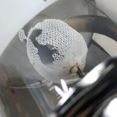  PRIMUS プリムス ガスランタン 2245 アウトドア 釣り