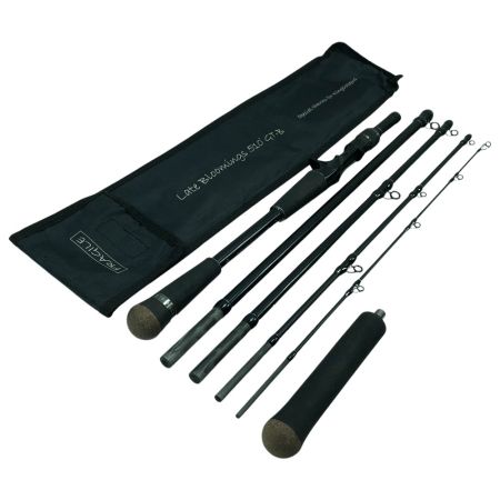  TRANSCENDENCE ルアーロッド トランスセンデンス レイトブルーミングス 510+GT-B LB510-4B