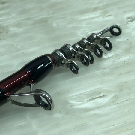  Fishman フィッシュマン ルアーロッド ビームスエクスパン4.3LTS