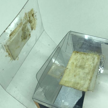  SHIMANO シマノ 渓流竿 渓峰 源流SX 硬調36 ZA 31993