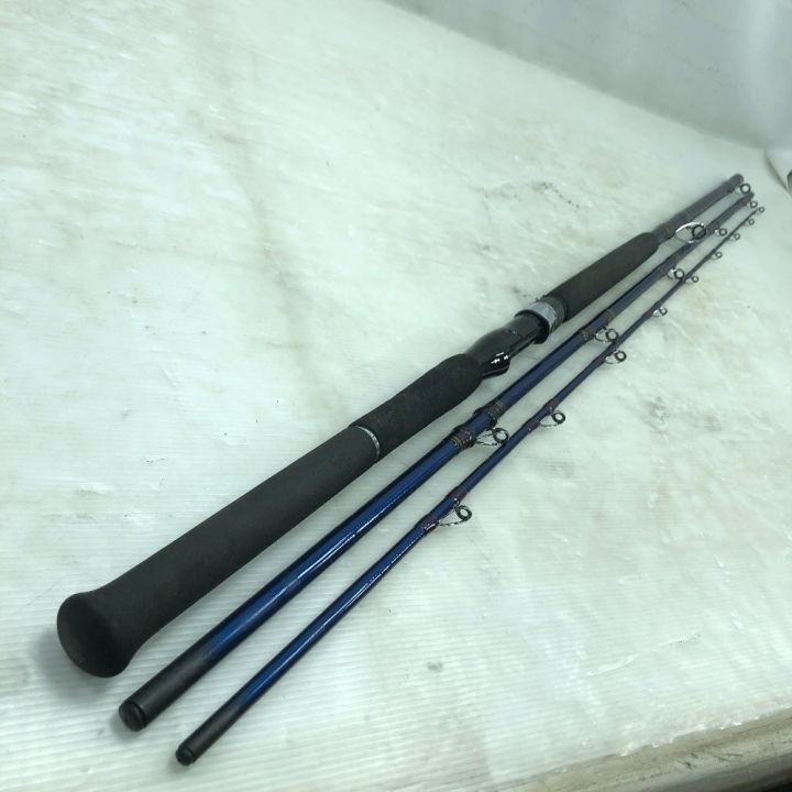 【美品】DAIWA ダイワ 潮流 V2 150-300 並継 930_1.jpg?20050523181232