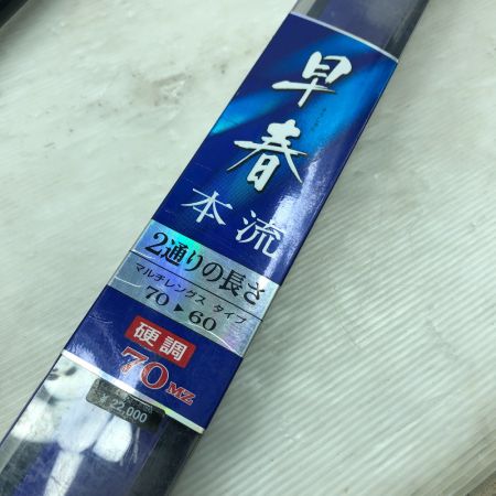  DAIWA ダイワ 渓流竿 早春 本流 硬調70MZ 06309410