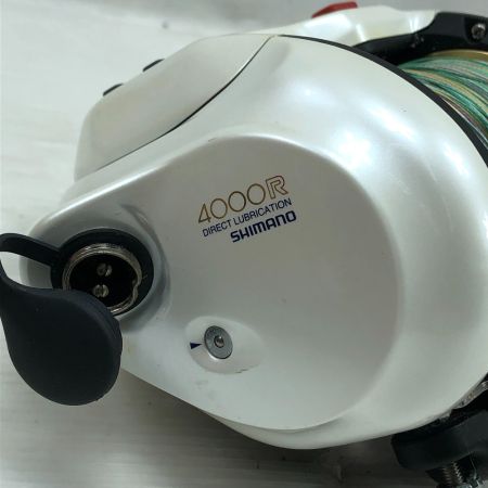  SHIMANO シマノ 電動リール 電動丸4000R RG184