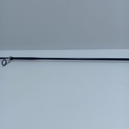 ロッド 投竿 ロングビーム T25-405