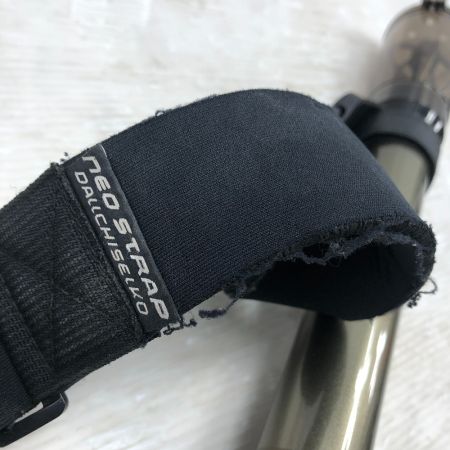  第一精工 オートキングギャフ 500 タモセット