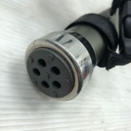  第一精工 オートキングギャフ 500 タモセット