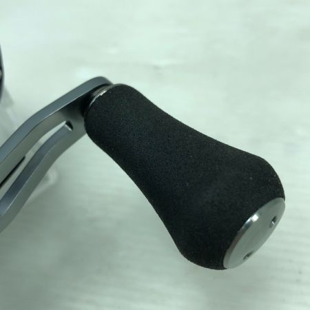  DAIWA ダイワ ベイトリール 23ソルティスト TW 100XHL PEスペシャル 00631035