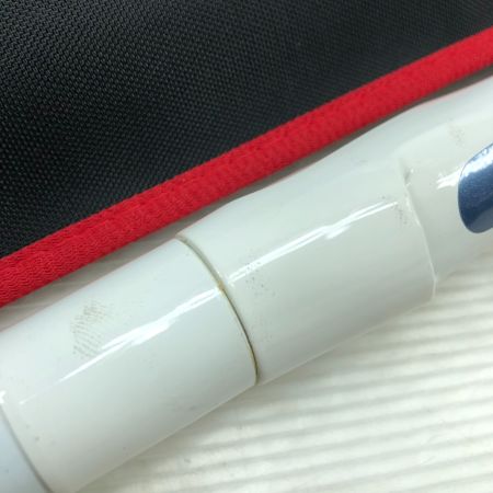  DAIWA ダイワ 船竿 HZ インターライン 帆影 80-310 05275645