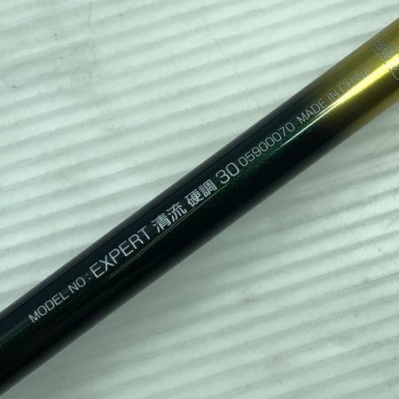  DAIWA ダイワ 渓流竿 エキスパート 清流 硬調30 05900070
