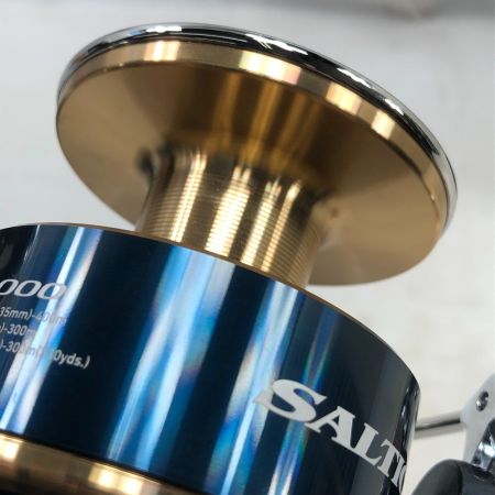  DAIWA ダイワ スピニングリール 20ソルティガ 18000-H 00065008 (272803)