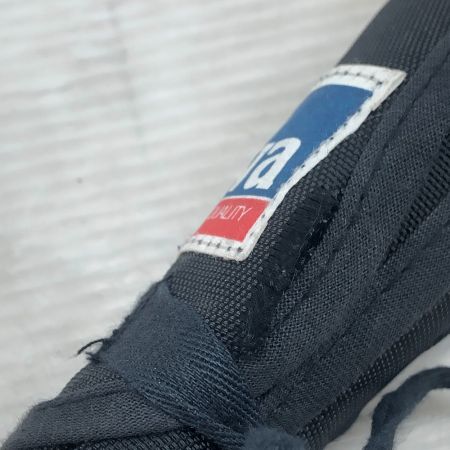  DAIWA ダイワ 渓流竿 カーボウィスカー パワーメッシュ 朝霧F 硬調 61