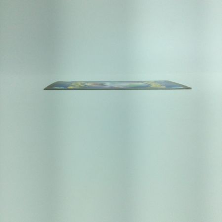   ポケモンカード エリカの招待 206/165/SV2A SAR ポケカ