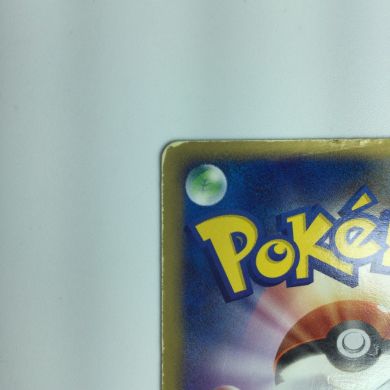 レックウザex 018/019 PG-e 難あり プレイ用 レックウザex 018/019 PG-e 難あり プレイ用