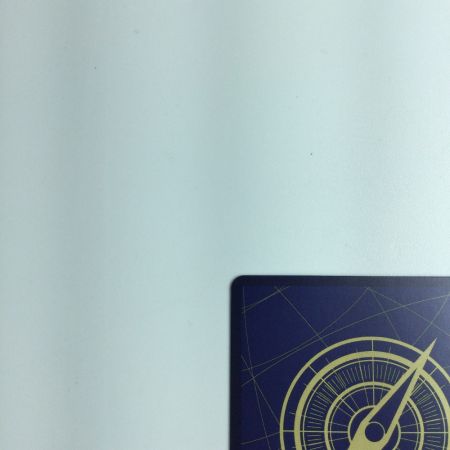   トレカ ワンピース おナミ OP06/101P2