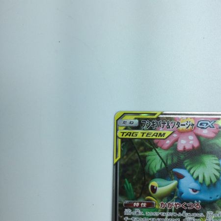   トレカ ポケモンカード フシギバナ＆ツタージャGX 066/064/SM11A/B SR