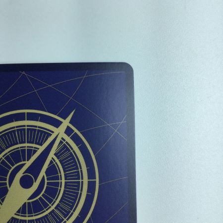   ワンピース ポートガス・D・エース（全身に炎） OP02/013P1 ワンピースカードゲーム