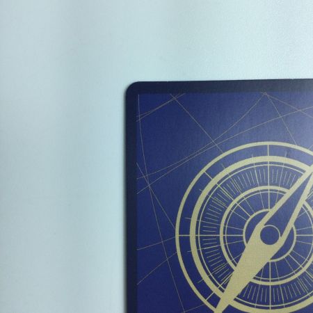   ワンピース ポートガス・D・エース（全身に炎） OP02/013P1　ワンピースカードゲーム