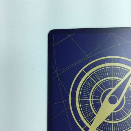   ワンピース パラレル）ポートガス・D・エース OP07/119P1 ワンピースカードゲーム