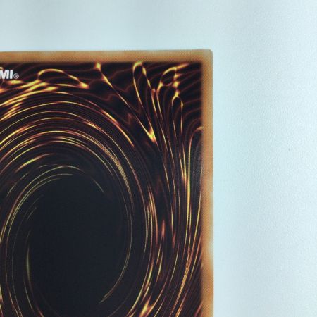   遊戯王 リンクメイル・デーモン RIRA/JP04720SE