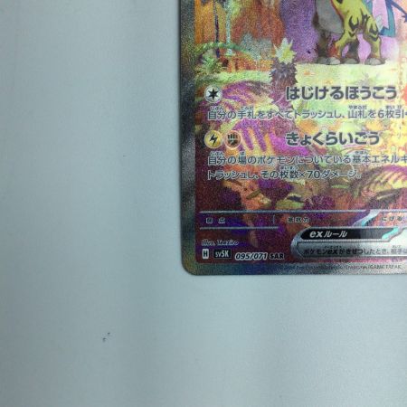   トレカ ポケモンカード タケルライコex 095/071/SV5K/B SAR