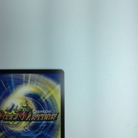   トレカ デュエルマスターズ 龍風混成 ザーディクリカ DMRP1710B/20 SR 箔押し)